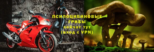 ГАЛЛЮЦИНОГЕННЫЕ ГРИБЫ Бронницы