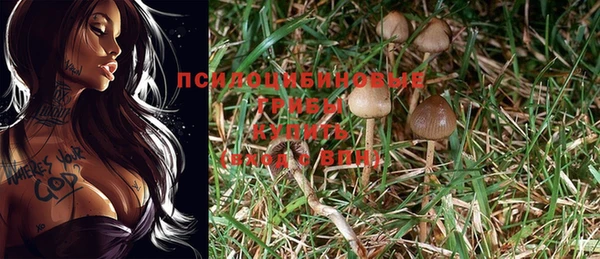 MDMA Premium VHQ Шадринск