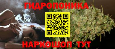 гидропоника Заводоуковск