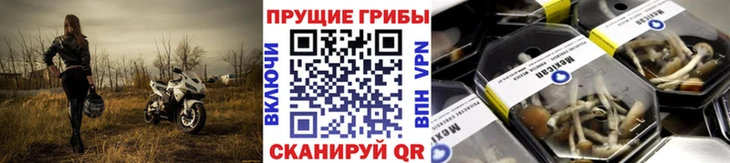 omg онион  Таганрог  Псилоцибиновые грибы мухоморы 