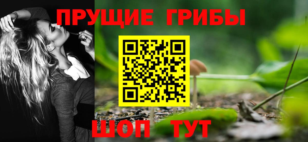 Таганрог  Галлюциногенные грибы Cubensis  Псилоцибиновые грибы Psilocybe  Вход с VPN 