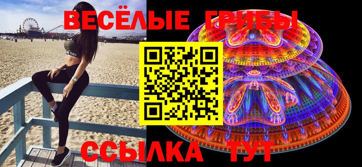 Галлюциногенные грибы Magic Shrooms Таганрог